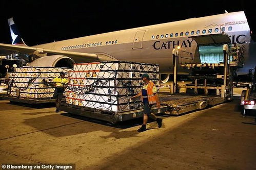 澳洲龍蝦出口受阻 新西蘭龍蝦卻 脫穎而出 ,在中國(guó)價(jià)格暴漲