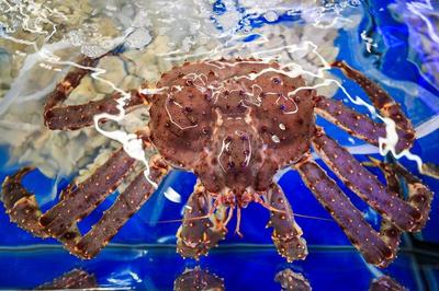 1499元茅臺、3.29元依云水,心急網友提前做攻略